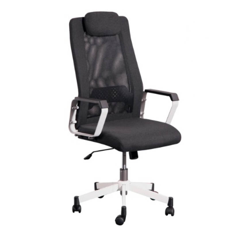 kadirya mesh office chair